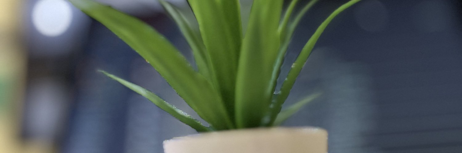 Abbized's profile banner image