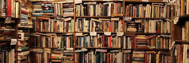 Liberal📚Librarian banner