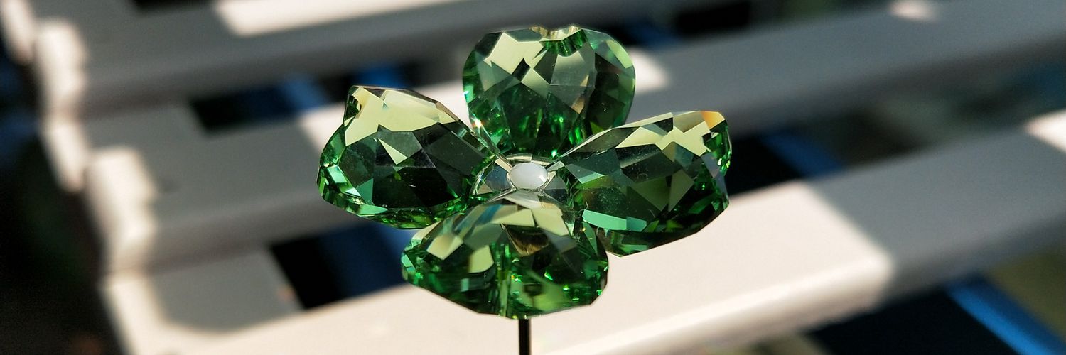0504kiwi's profile banner image