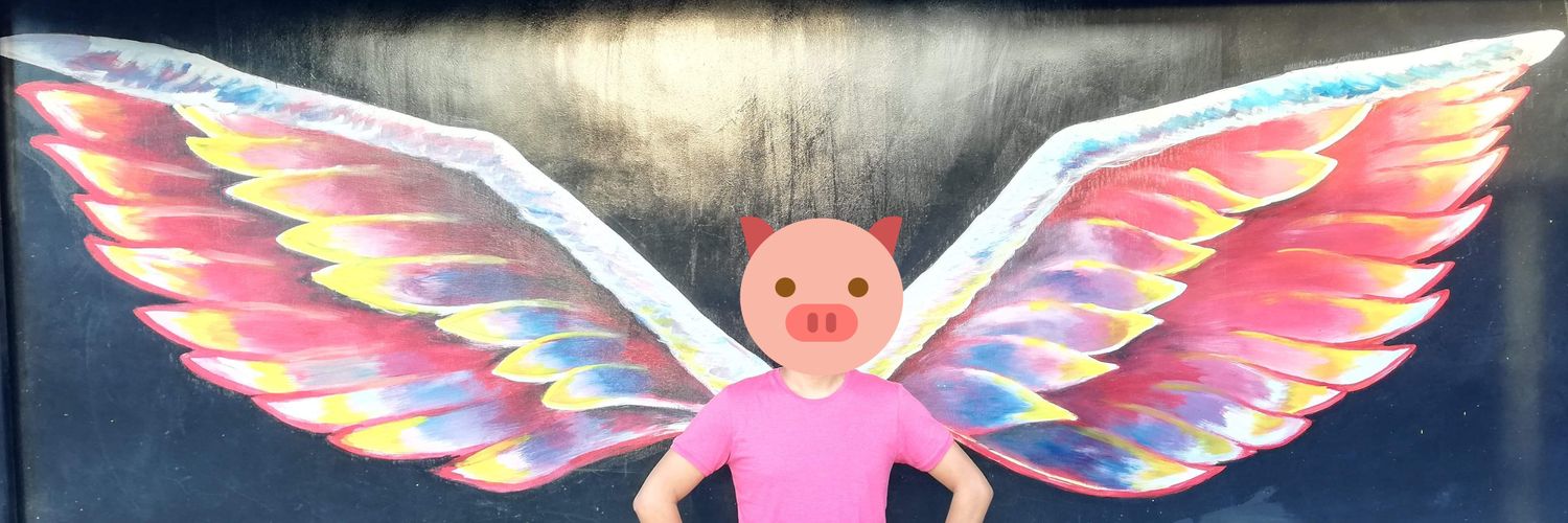 WinStone banner