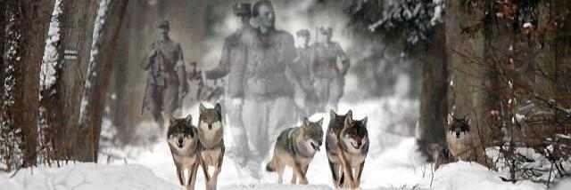 tomlis71's profile banner image
