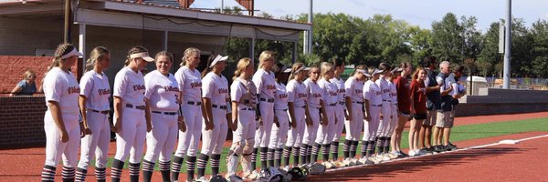 lowndesvikettes Profile Banner