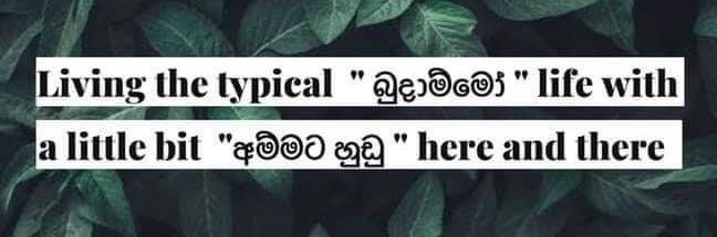 Nimila Hiranya banner