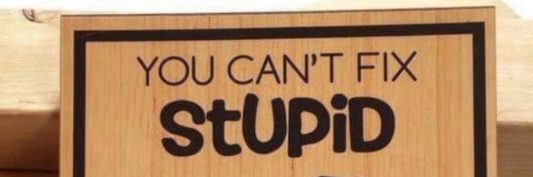 GiGi END LEGISLATED POVERTY 😾♿🇨🇦😷 banner