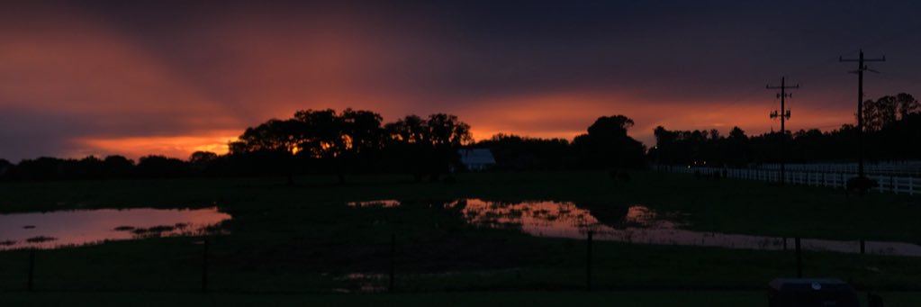 JaimeeMessier's profile banner image
