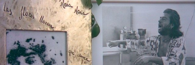 eltortavive's profile banner image