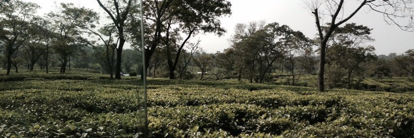 rajib bhattacharjee banner