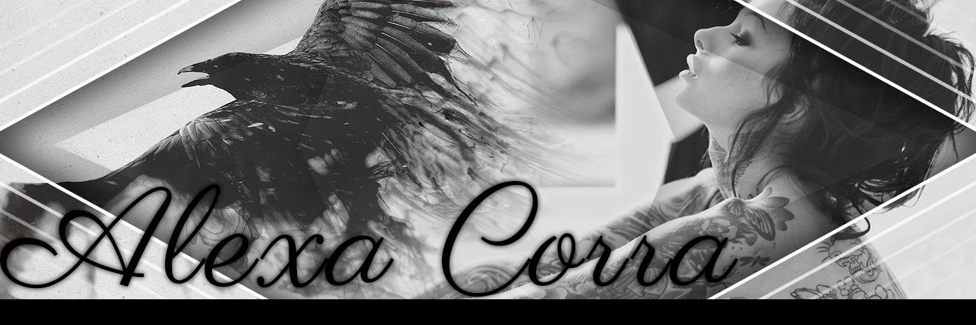 ㅤㅤㅤㅤㅤㅤ banner