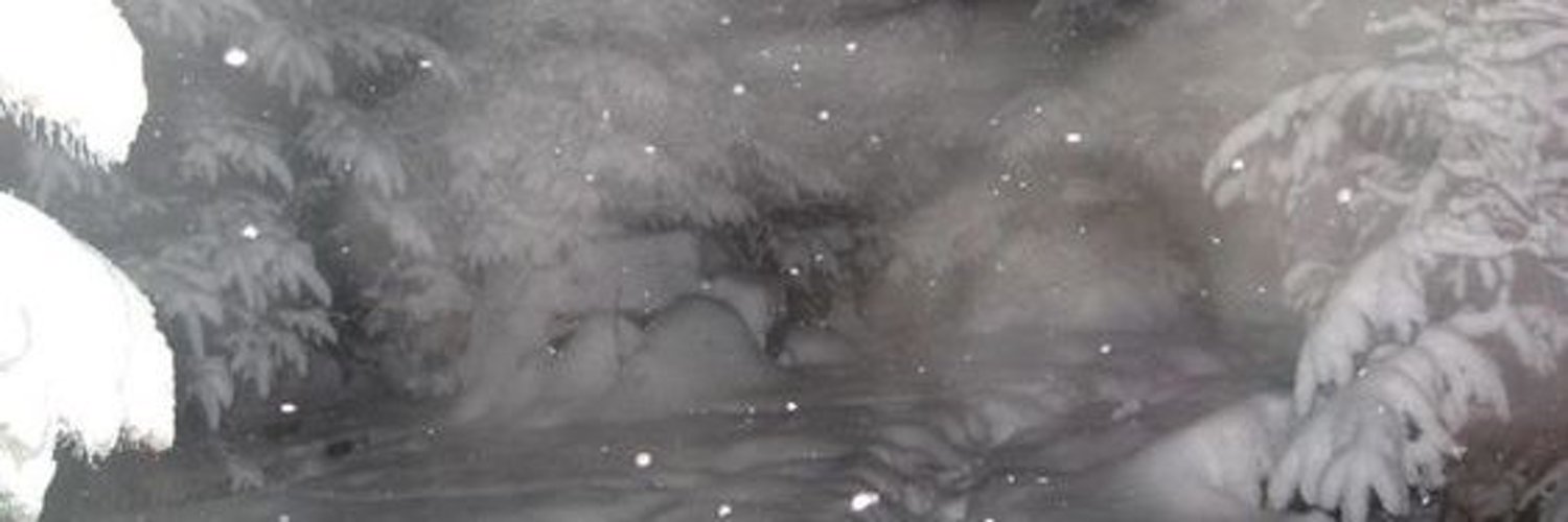Nicolette  banner