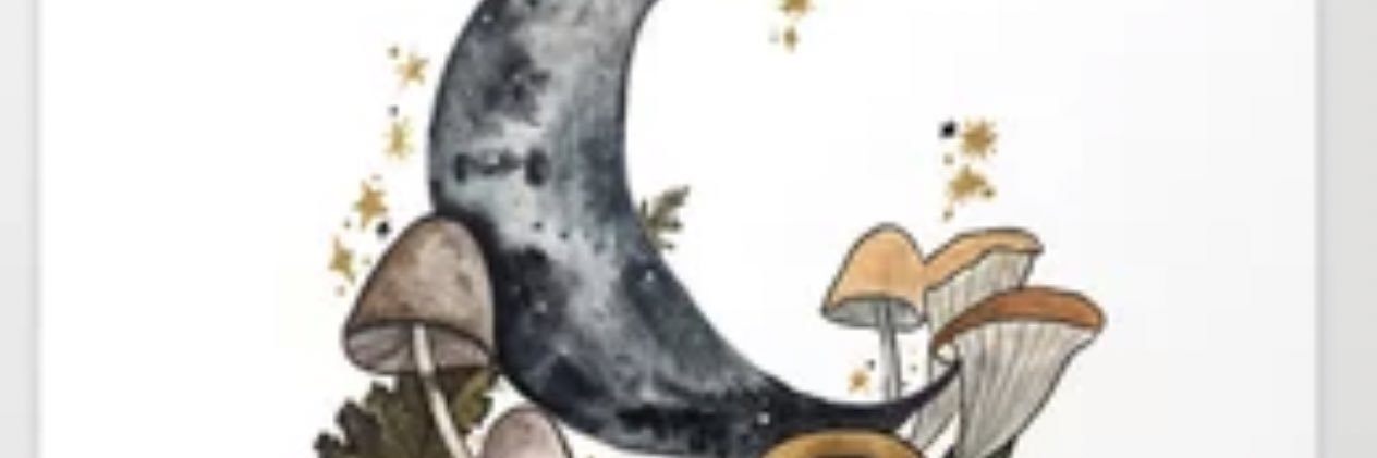 eau_berry's profile banner image