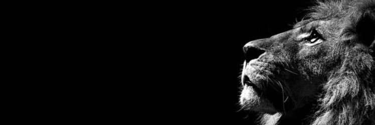 stormfeyyaz's profile banner image