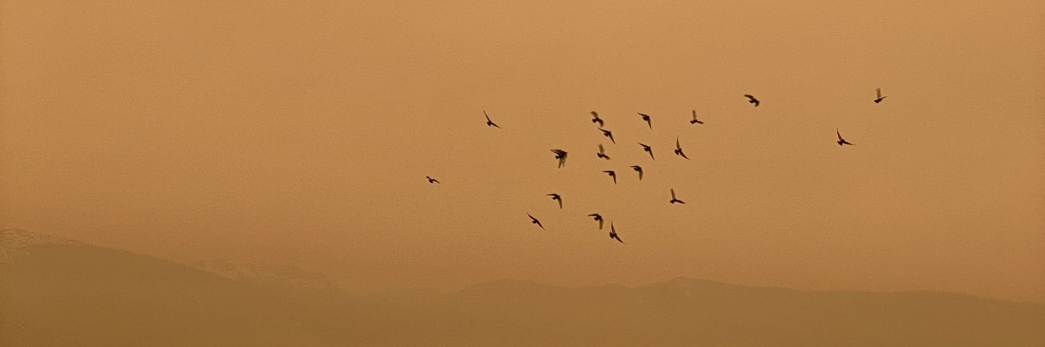 Philippe Gonzalez banner