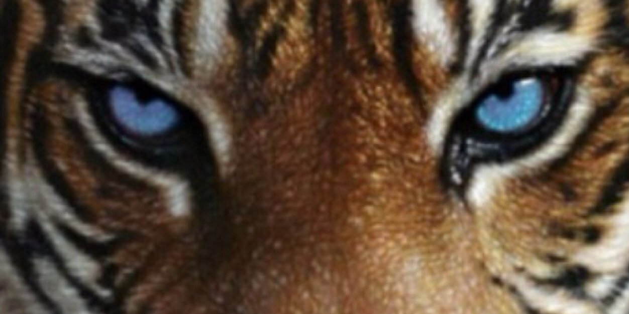 mertcan040_'s profile banner image