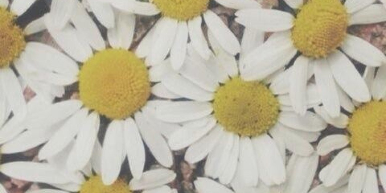 girlthoughtz00's profile banner image
