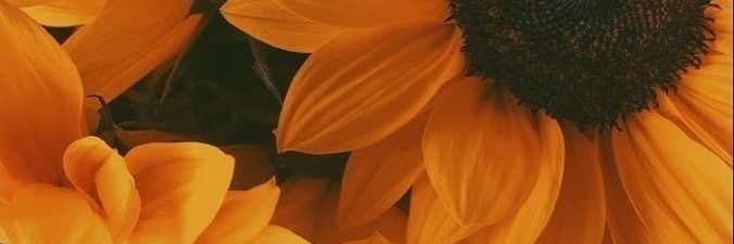 yuke_ze's profile banner image