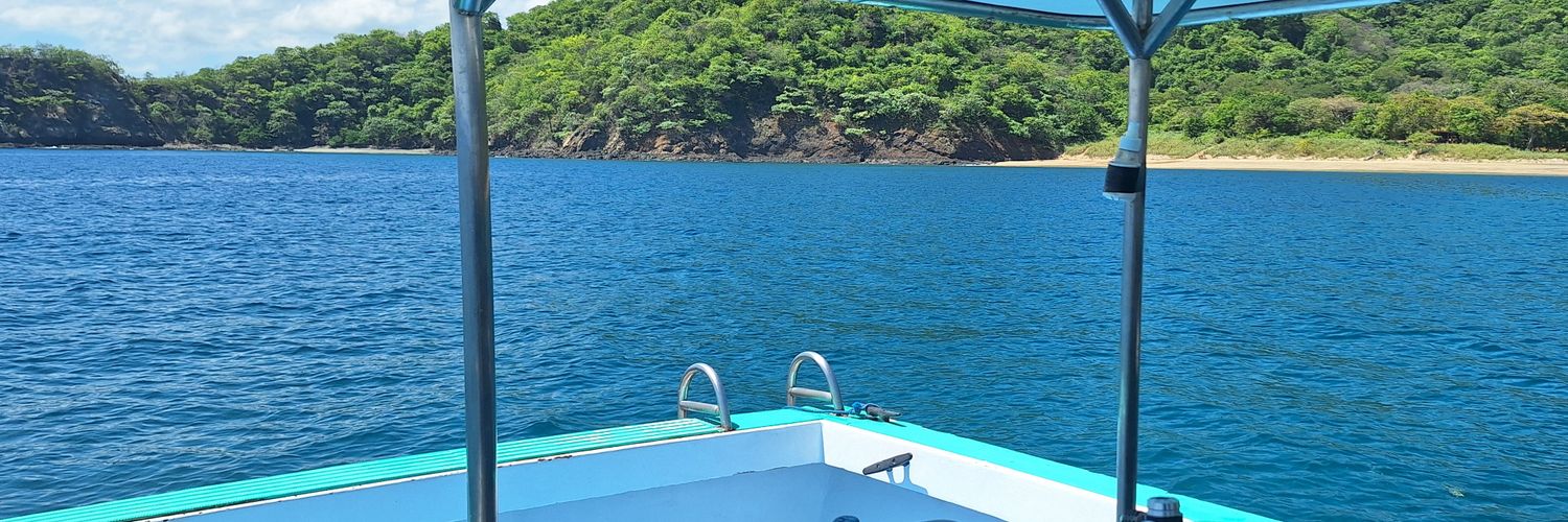 StechusCactus banner