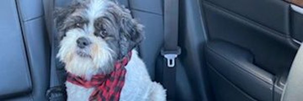 WyldeDoug Profile Banner