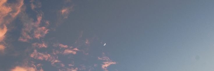 _littledust's profile banner image