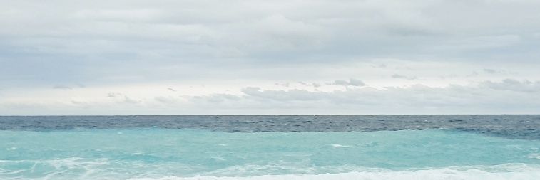 DN032479's profile banner image