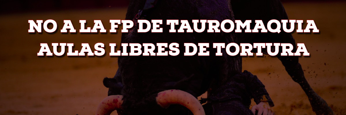 CEPA_medias's profile banner image