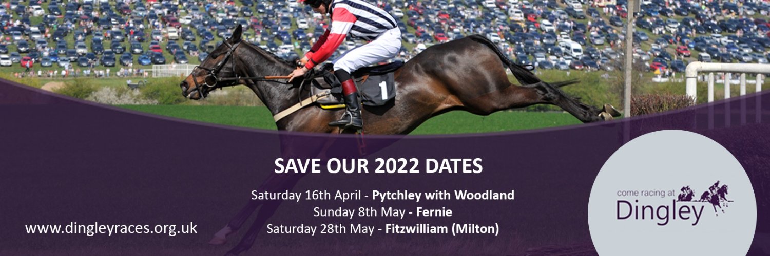 Dingley Races banner