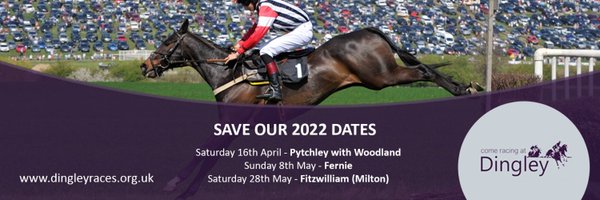 dingleyraces Profile Banner