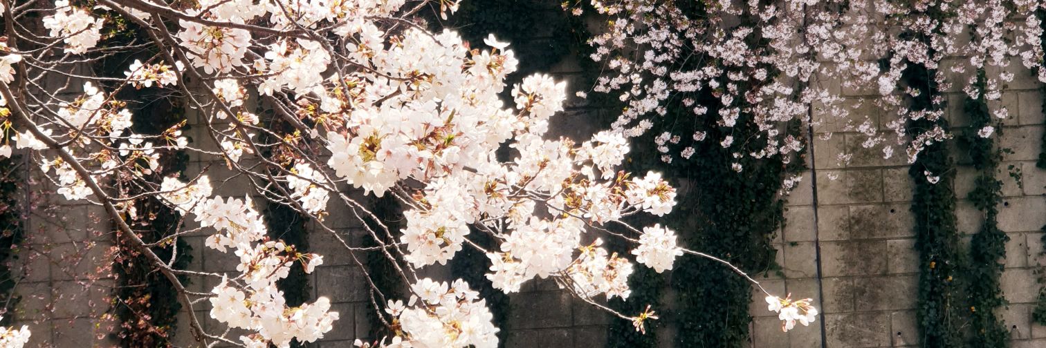 kthrnby's profile banner image