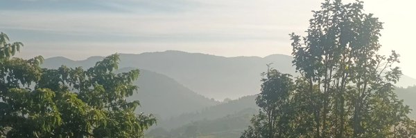 itishreena Profile Banner