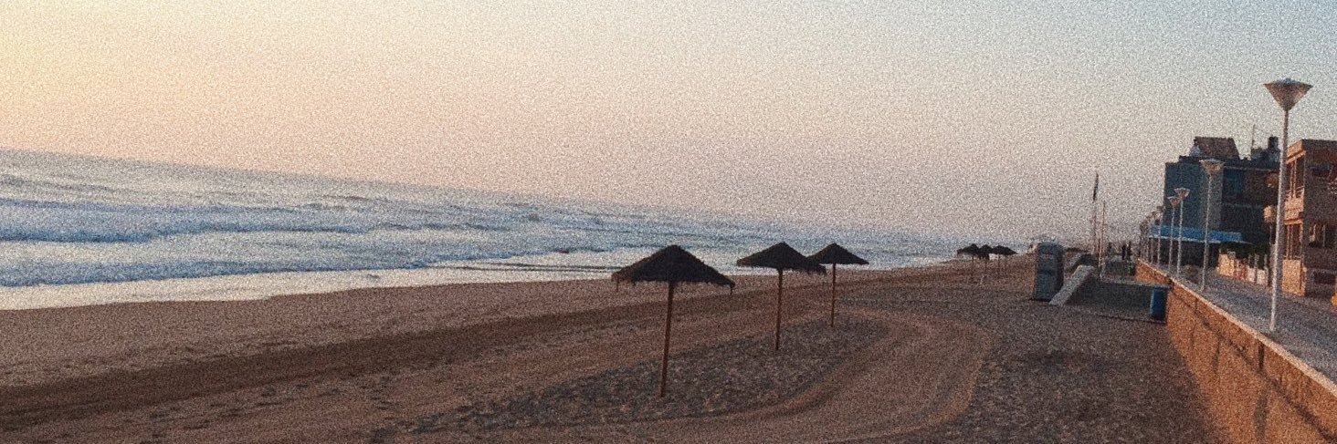 oceanebnfs's profile banner image