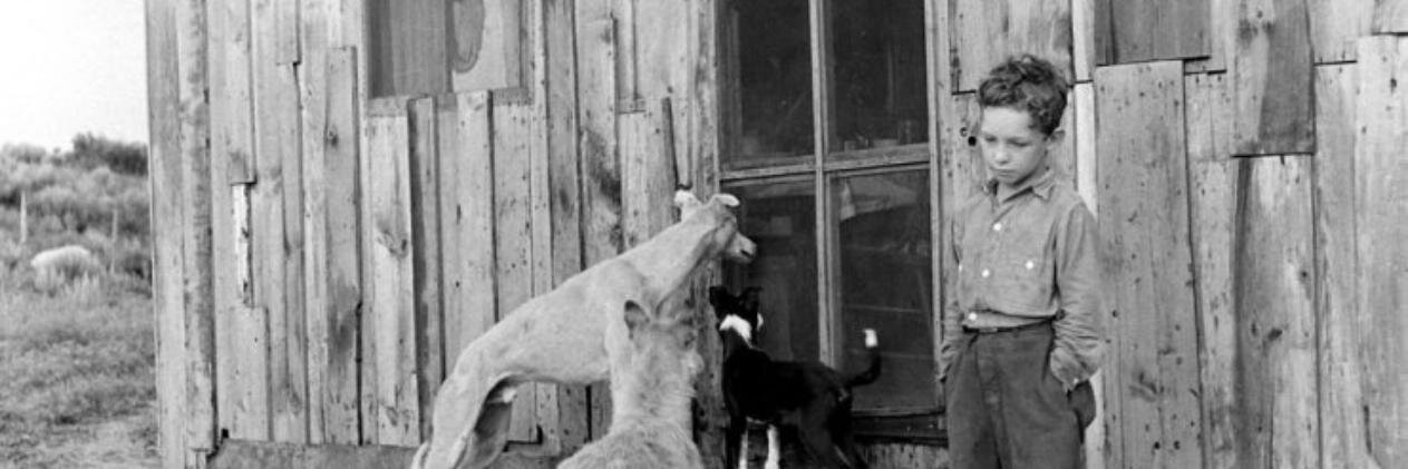 TopEditor Internatio banner