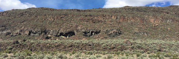 ArchaeologyLisa Profile Banner