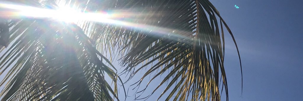 SamKeleman's profile banner image