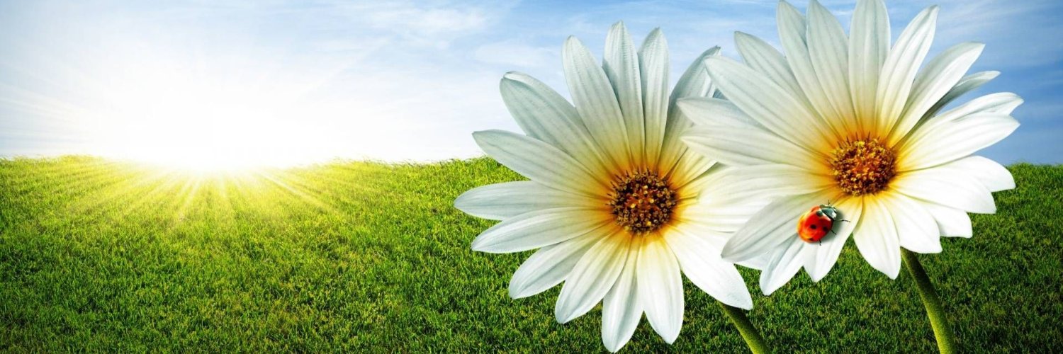 edidiongreuben's profile banner image