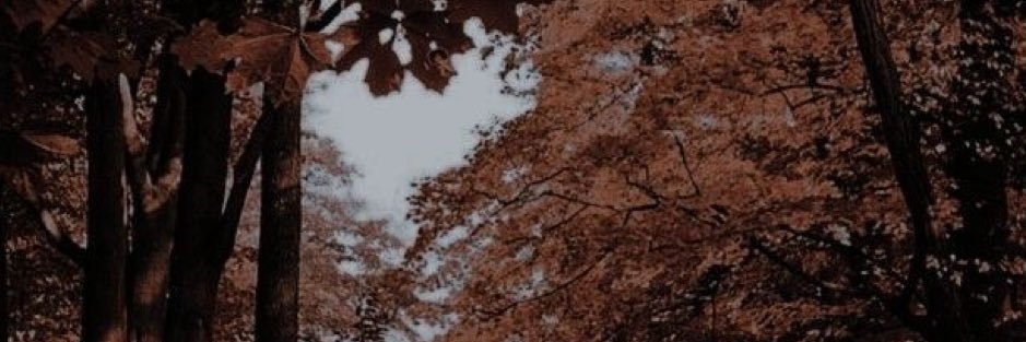 goodnightngoth's profile banner image