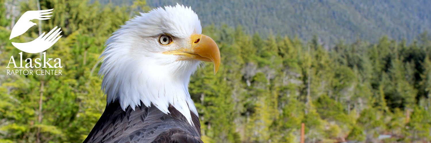Alaska Raptor Center banner