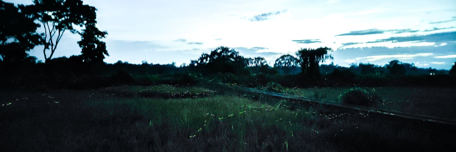 rickeystarc's profile banner image