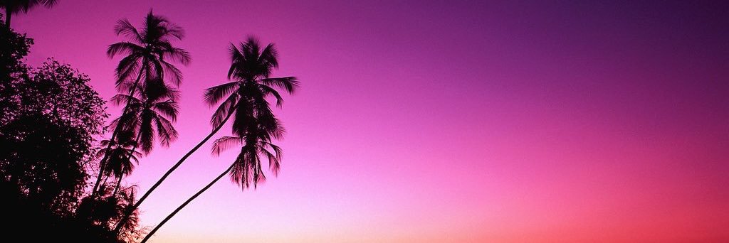 Lydia Pluckrose banner