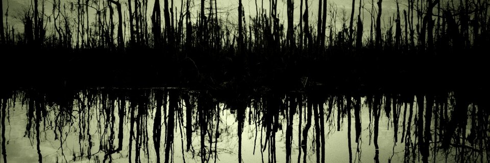 Правакатар banner