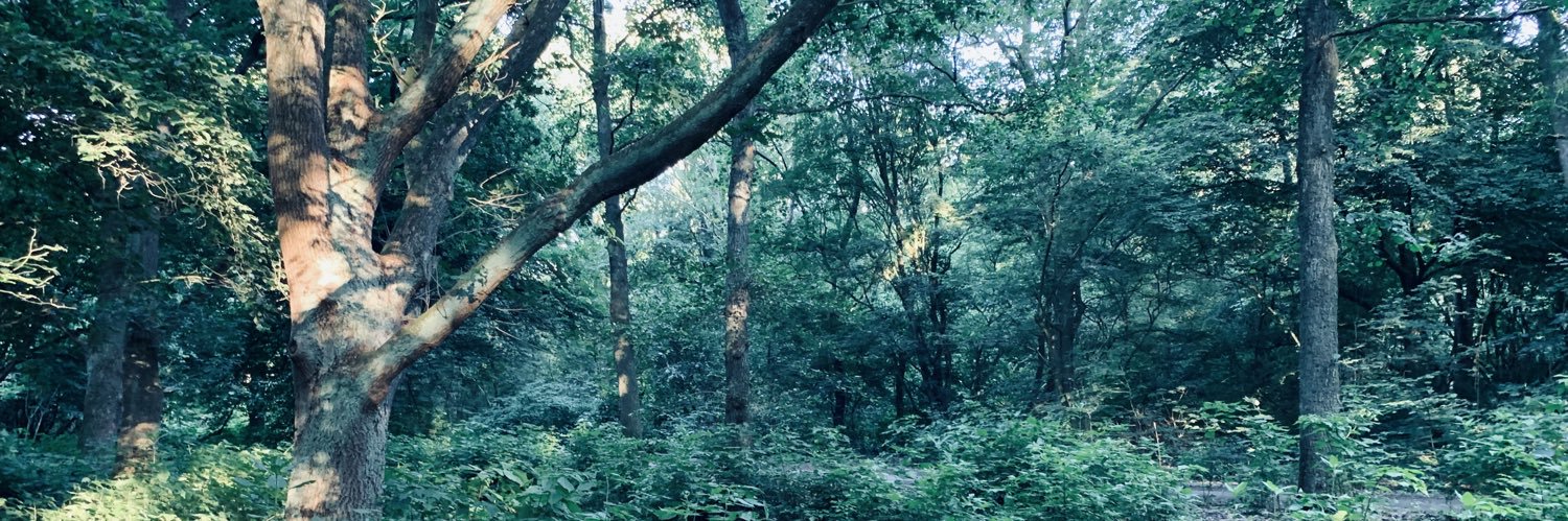Dnarbys's profile banner image