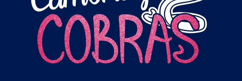 CambridgeCheer's profile banner image