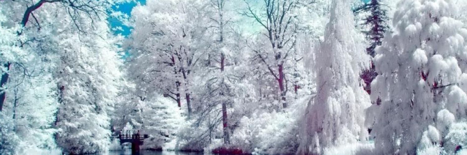 jjsully72's profile banner image