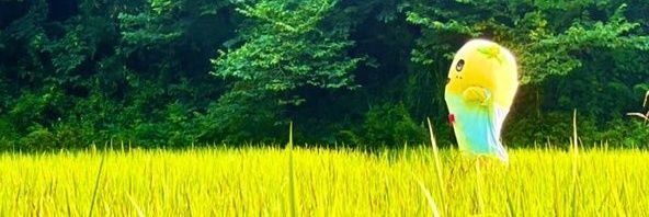 ayumisan2014's profile banner image