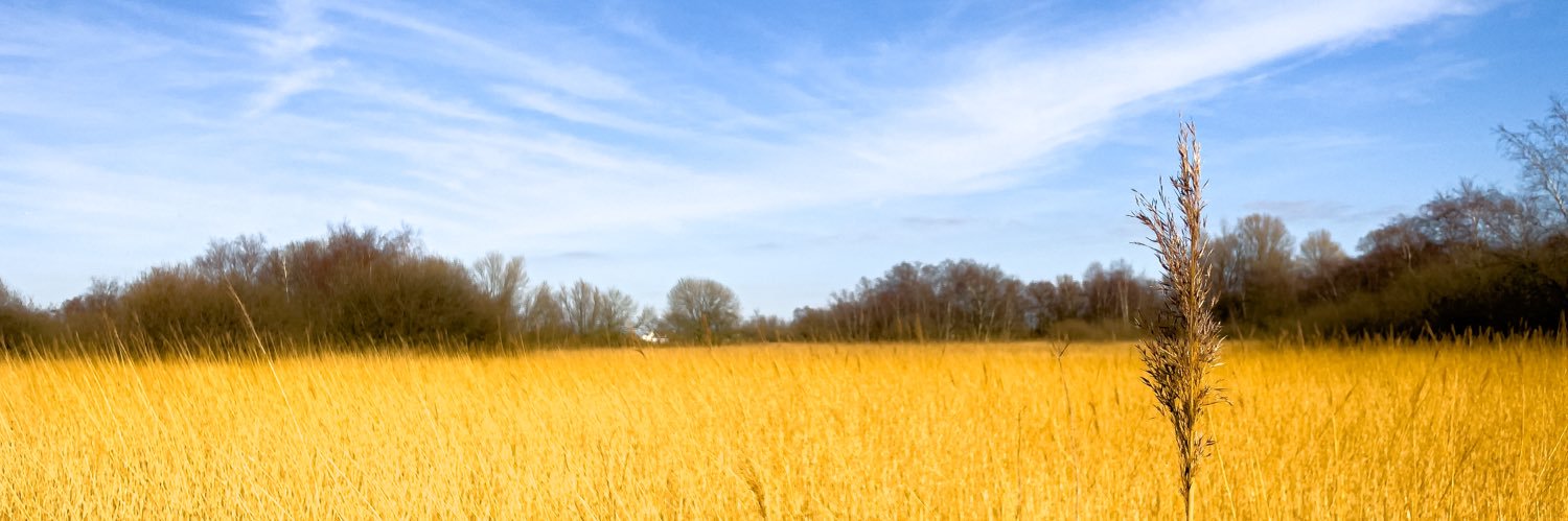 awarnach's profile banner image