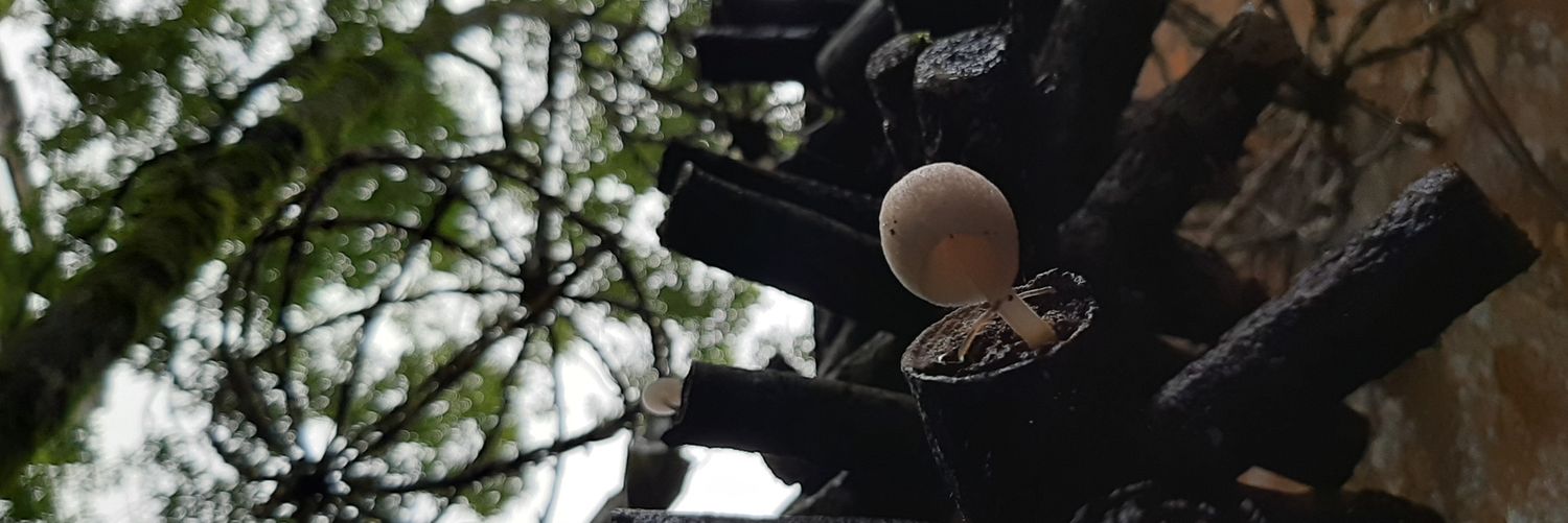 hoowaugn's profile banner image