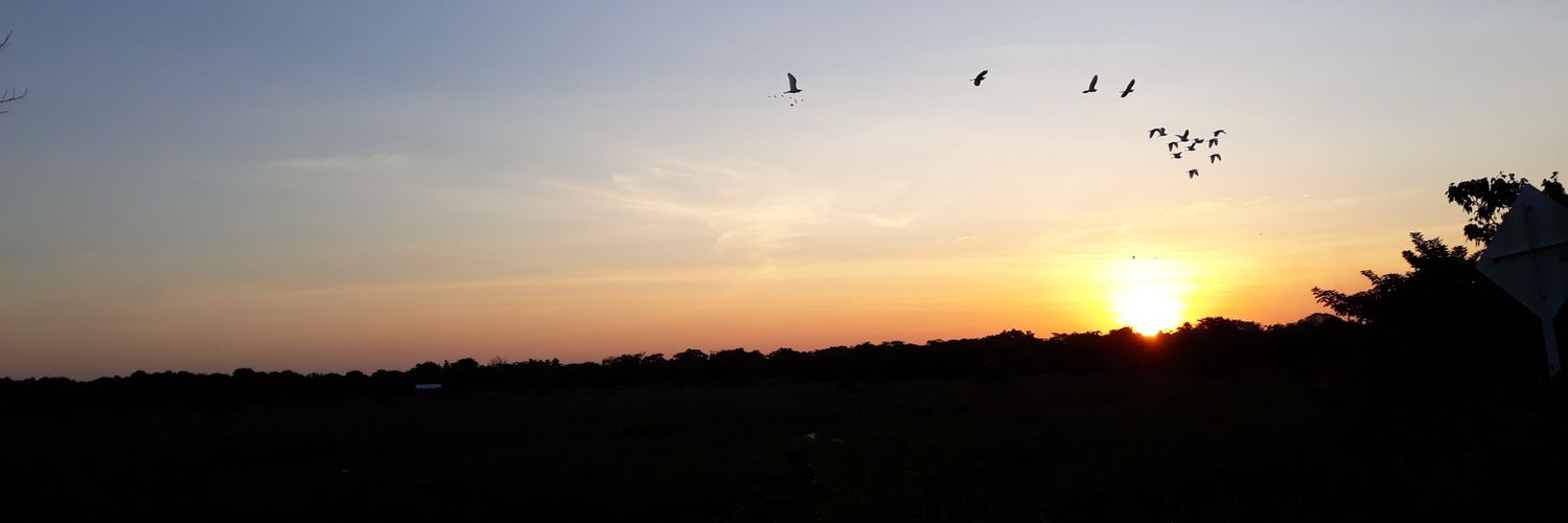 paoforero's profile banner image