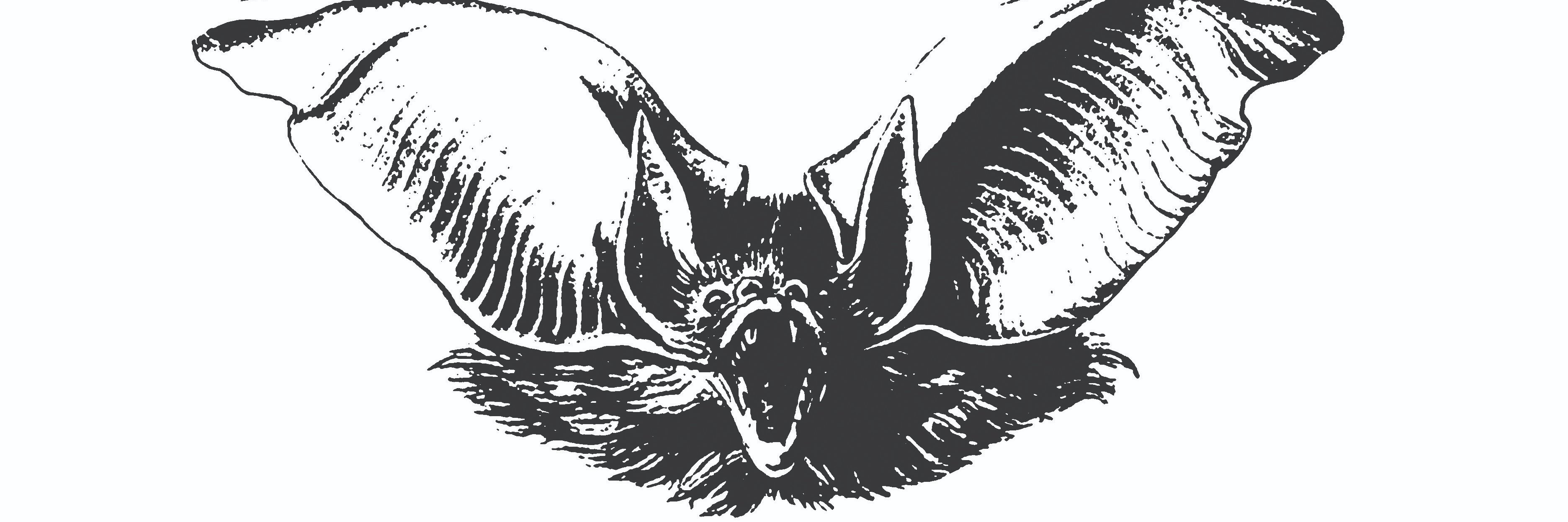 denihilrec's profile banner image