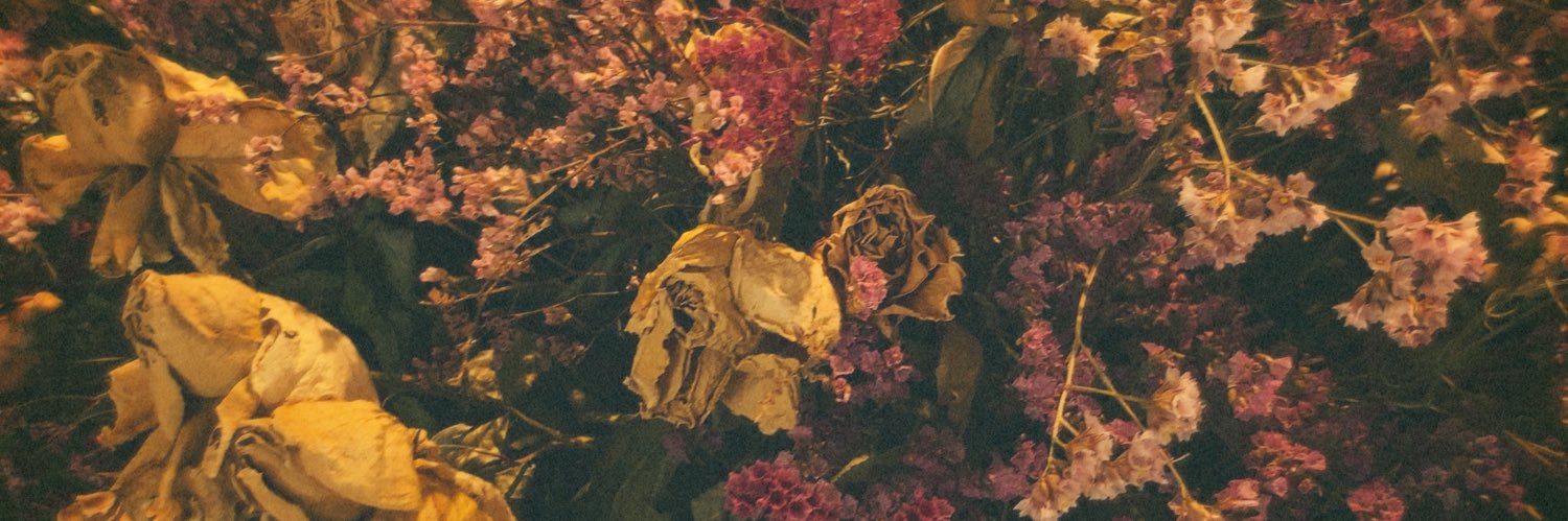 ImSysd's profile banner image