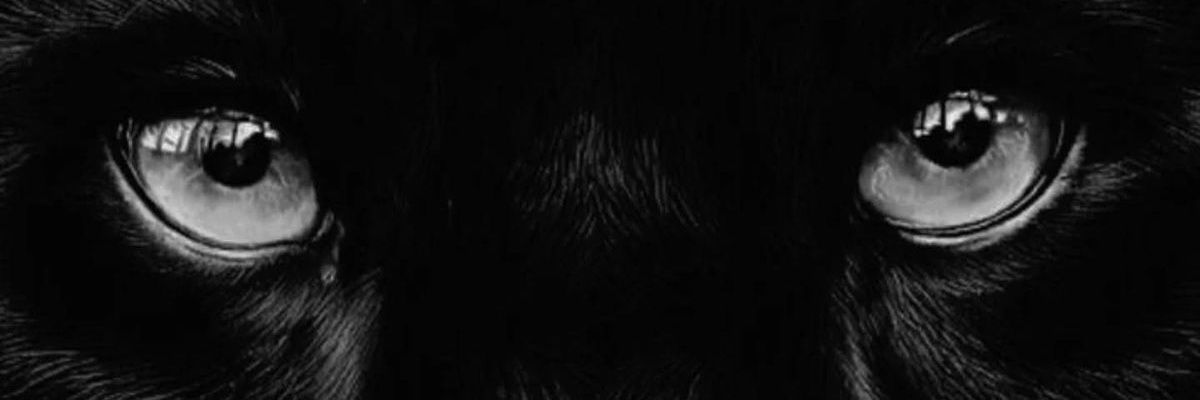lengabriel_'s profile banner image