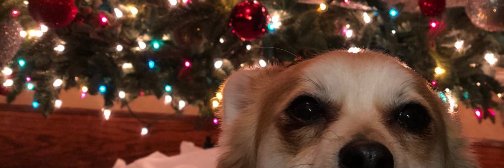 sariouslyy_'s profile banner image