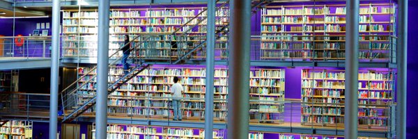 Studyin_NL Profile Banner